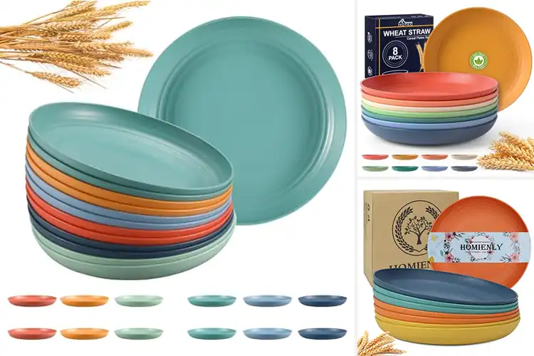 Detailed view of Best BPA Free Dinner Plates