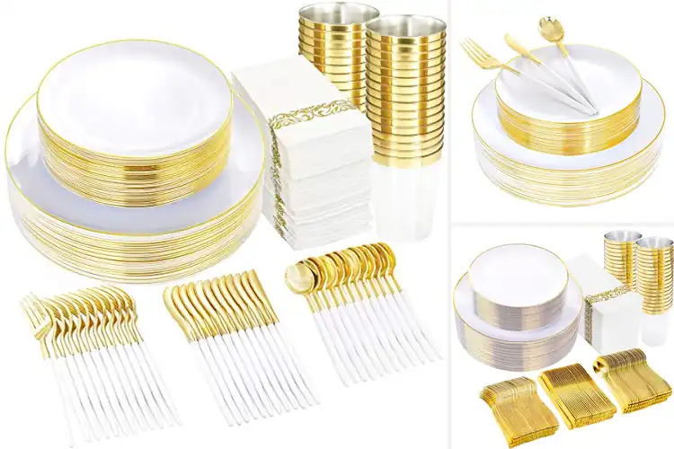 Detailed view of 10 Best Buffet Disposable Sets for Easy, Elegant Hosting
