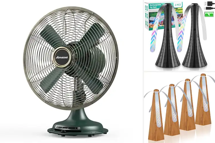 Detailed view of 10 Best Buffet Table Fans for Cool, Fresh Dining