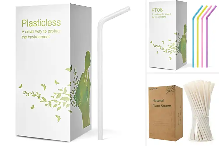 Detailed view of Best Eco-Friendly Straws
