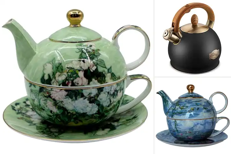 Detailed view of Best Ergonomic Teapot Design For One Handed Use