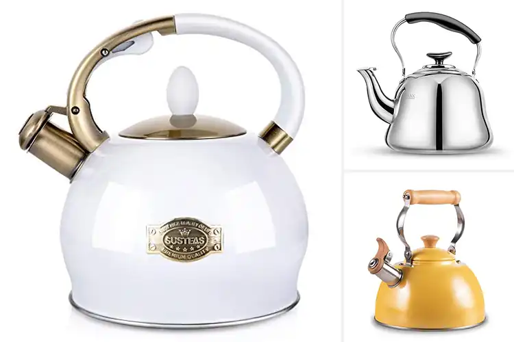 Detailed view of Best Ergonomic Teapots