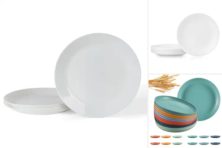Detailed view of Best Lightweight Dinner Plates