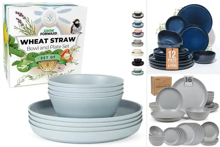 Detailed view of Best Microwave Safe Dinnerware 350F