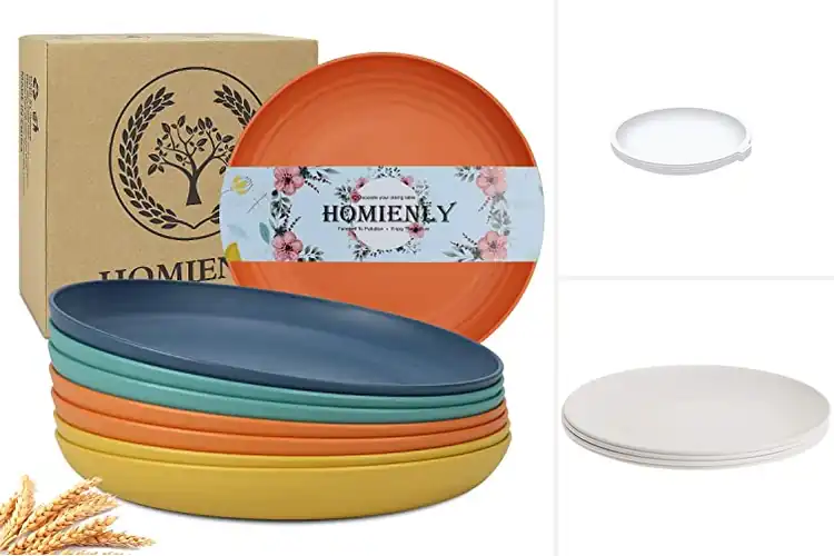 Detailed view of Best Microwave Safe Plates