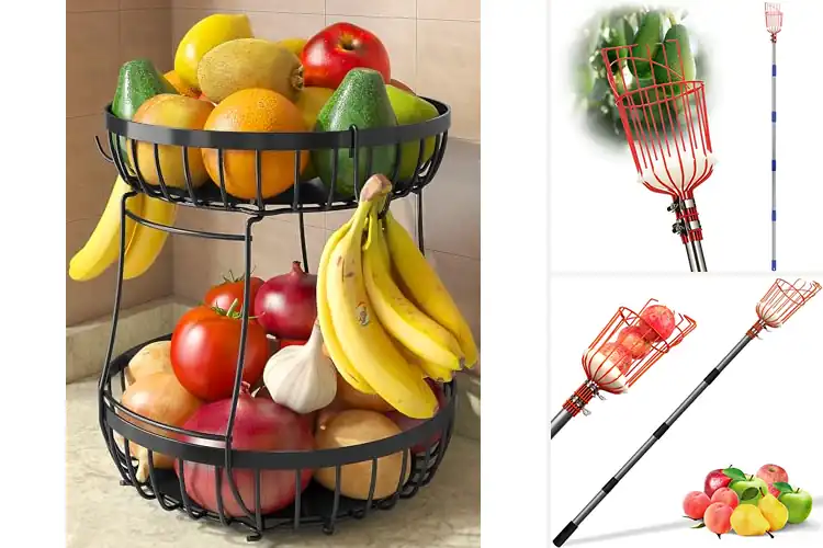 Detailed view of Best No Tool Assembly Fruit Basket: 10 Easy Setup Picks
