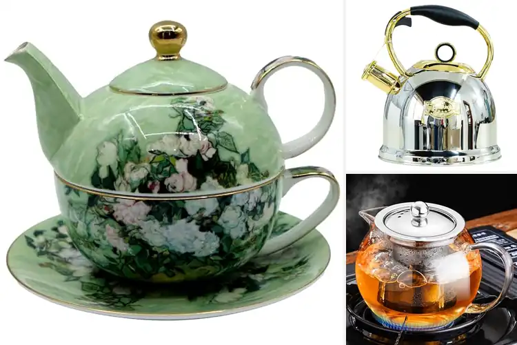 Detailed view of Best One Handed Design Teapots