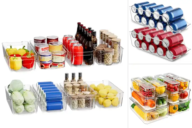 Detailed view of Best Refrigerator Organization Aids