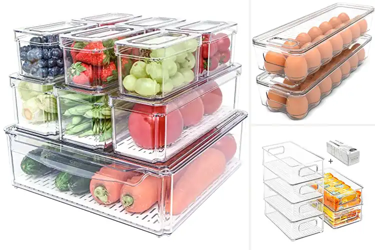 Detailed view of Best Refrigerator Organization