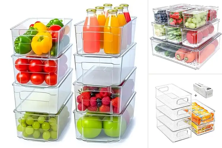 Detailed view of Best Refrigerator Organizers