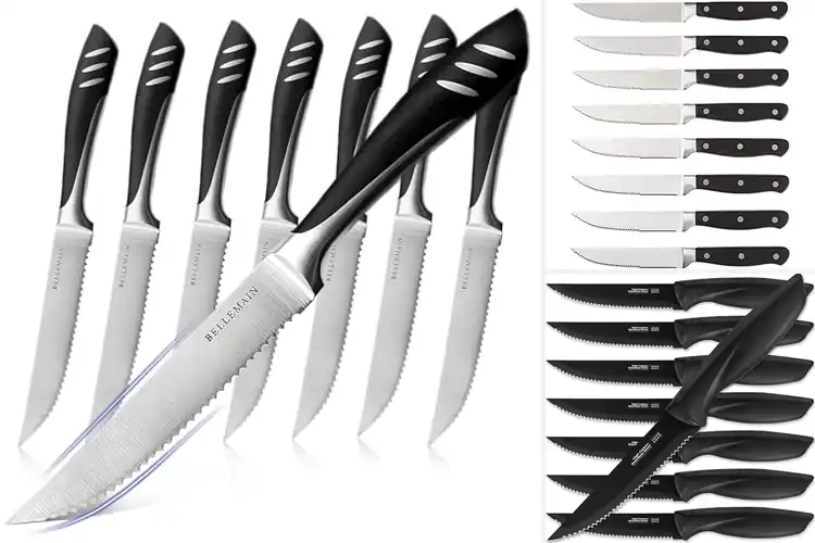 Detailed view of Best Serrated Knives Sets