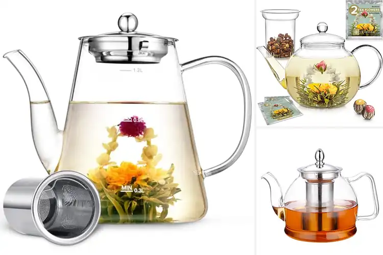 Detailed view of Best Stovetop Safe Glass Teapots