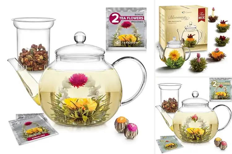 Detailed view of Best Teapots For Blooming Tea: Watch Magic Unfold