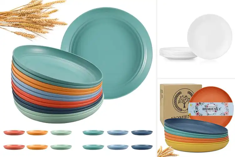 Detailed view of Best Unbreakable Dinner Plates: 10 Durable & Stylish Picks